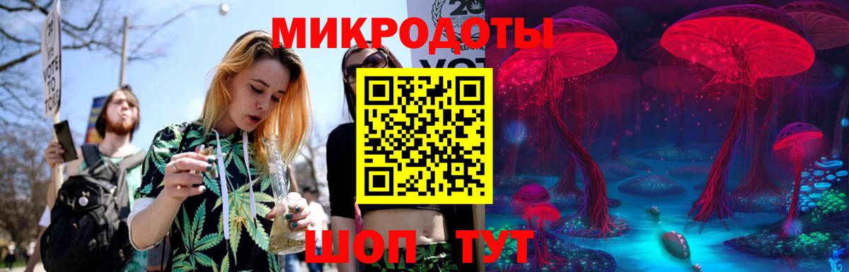 Волгоград  Галлюциногенные грибы Cubensis  Вход с VPN  Галлюциногенные грибы Magic Shrooms 